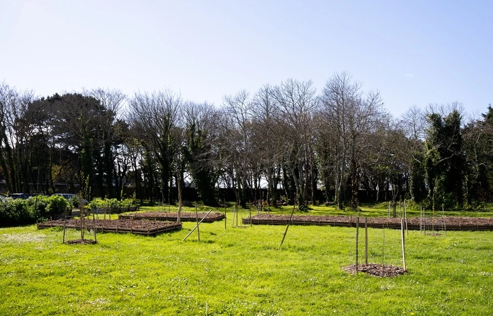 Potager de l'IMTS à Dinard