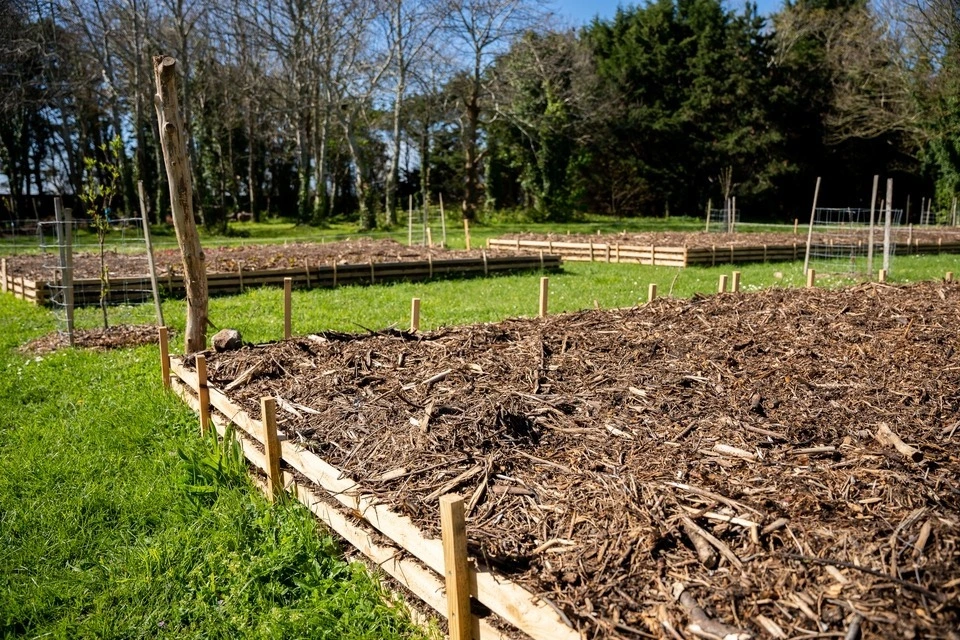 Potager de l'IMTS à Dinard